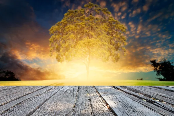 The perfect wooden and background nature Stock Image
