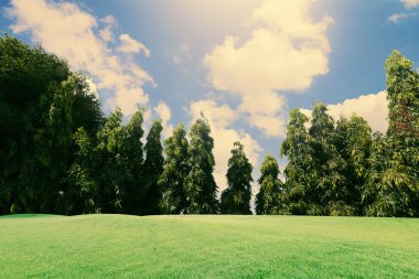 Mükemmel doğa ve gökyüzü bulut Park ile