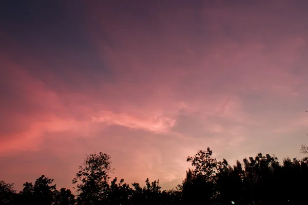 Il cielo — Foto Stock