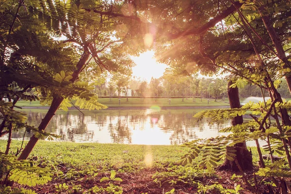 Pôr do sol — Fotografia de Stock