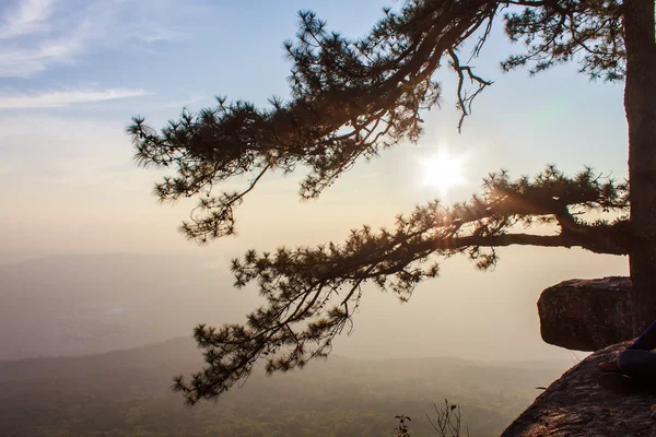 stock image landscape