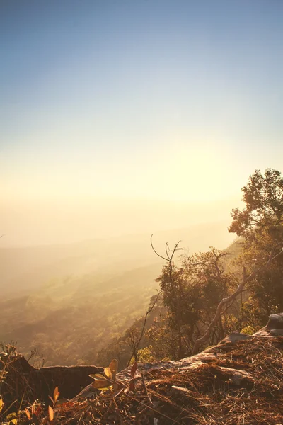 Paesaggio — Foto Stock