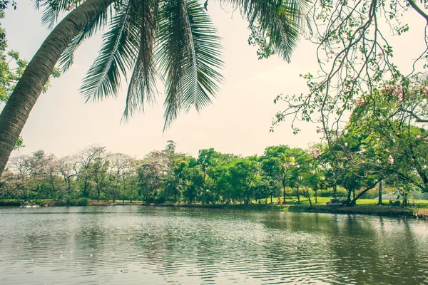 Paisagem parque — Fotografia de Stock