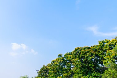 Gökyüzü ve Bulutlar