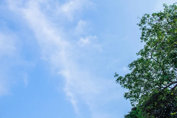 Himmel und Wolken — Stockfoto