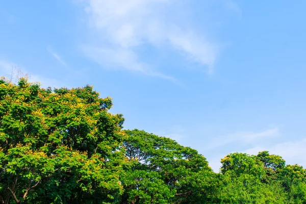 Himmel und Wolken — Stockfoto