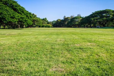 Park gevşeme