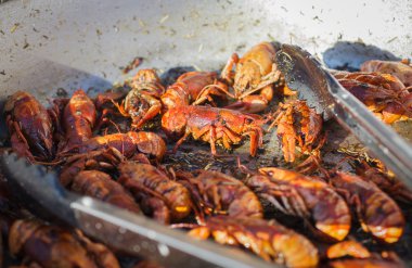 Büyük bir kase içinde pişmiş kerevit