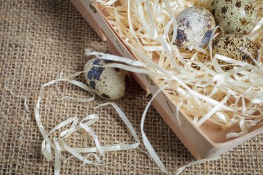 Çuval bezi kumaş üzerinde bıldırcın yumurtası