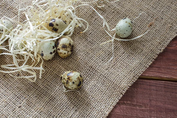 Jaja przepiórcze na drewnianym stole — Zdjęcie stockowe