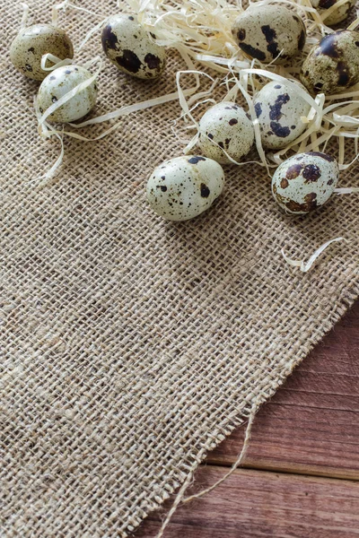 Quail eggs on a wooden table — Stock Photo, Image