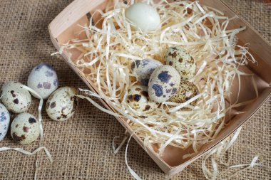 Çuval bezi kumaş üzerinde bıldırcın yumurtası