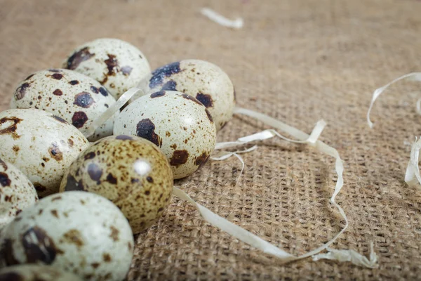 Jaja przepiórcze na płótnie tkaniny — Zdjęcie stockowe