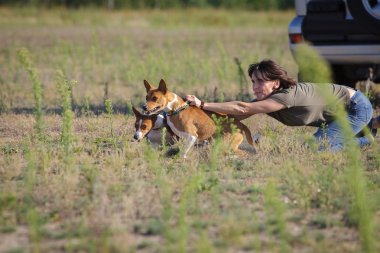 Akan. Alçaklık köpek başında
