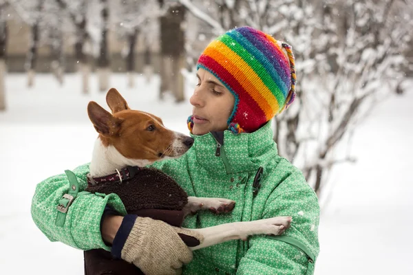 Basenji en la nieve. —  Fotos de Stock