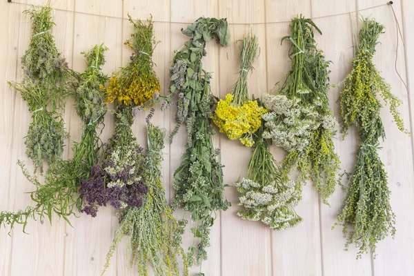 Herbs dried in bunches. On a wooden wall — Stock Photo, Image