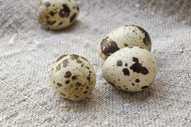 Üç bıldırcın yumurtası. Kaba bir bezle kaplı tablo.