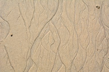 güzel kum arka plan