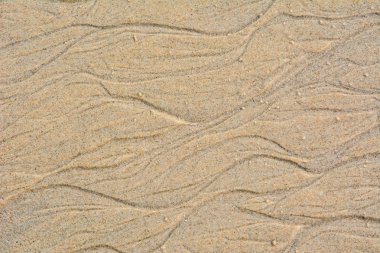 güzel kum arka plan