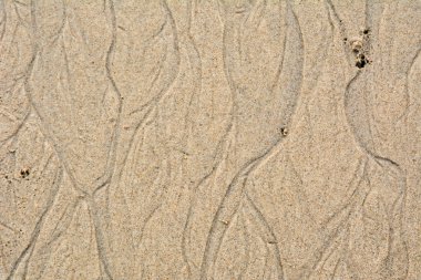 güzel kum arka plan