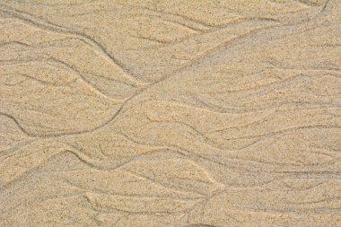 güzel kum arka plan