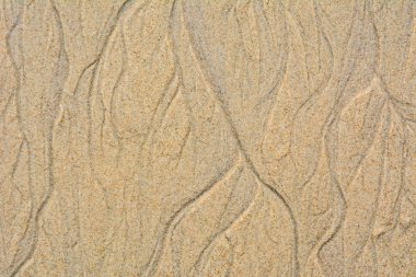 güzel kum arka plan