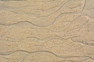 güzel kum arka plan