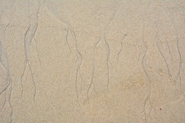 güzel kum arka plan