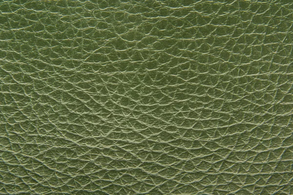 Texture in pelle verde — Foto Stock