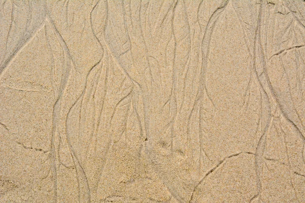 Beautiful sand background — Stock Photo, Image