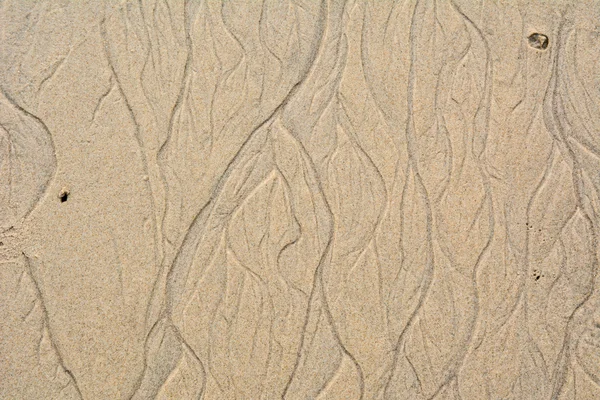 güzel kum arka plan