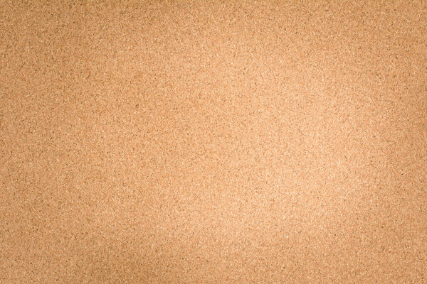 Blank cork board background