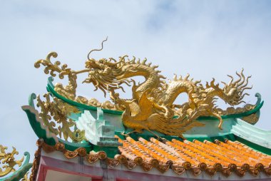 ejderha çatı üzerinde