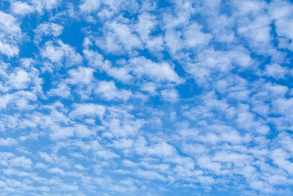 Nube de cielo azul — Foto de Stock