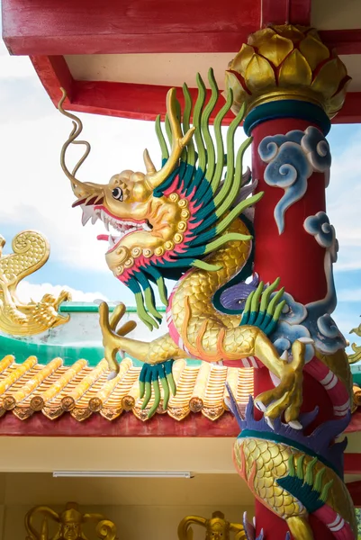 Dragon Kutbu'ndaki