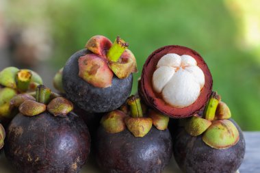 Mangosteen tropikal ruits