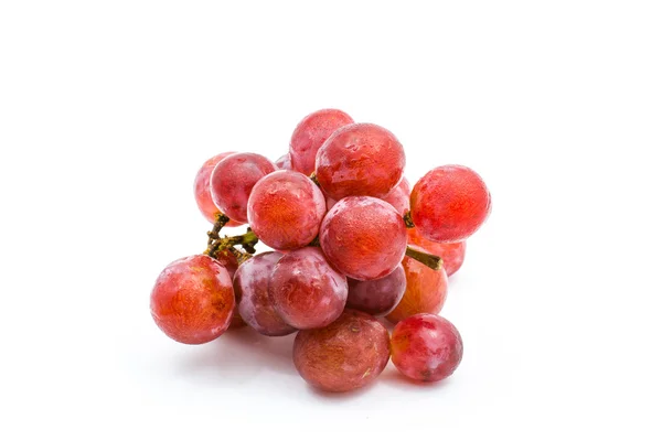 Uvas tintas frescas — Foto de Stock