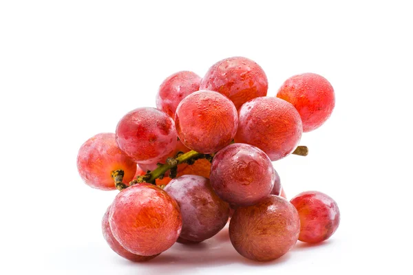 Uvas tintas frescas — Foto de Stock