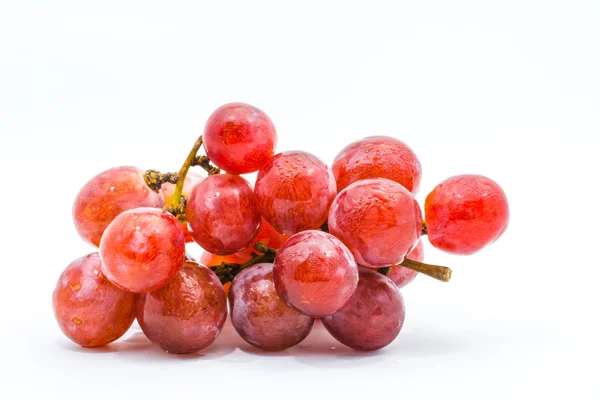 Uvas tintas frescas — Foto de Stock