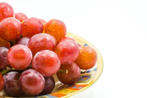 Uvas tintas frescas — Foto de Stock