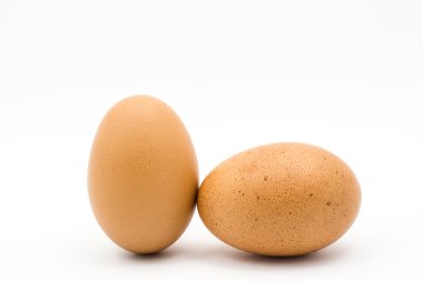 kahverengi tavuk yumurta 