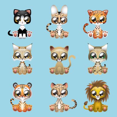 Collection of cute felines