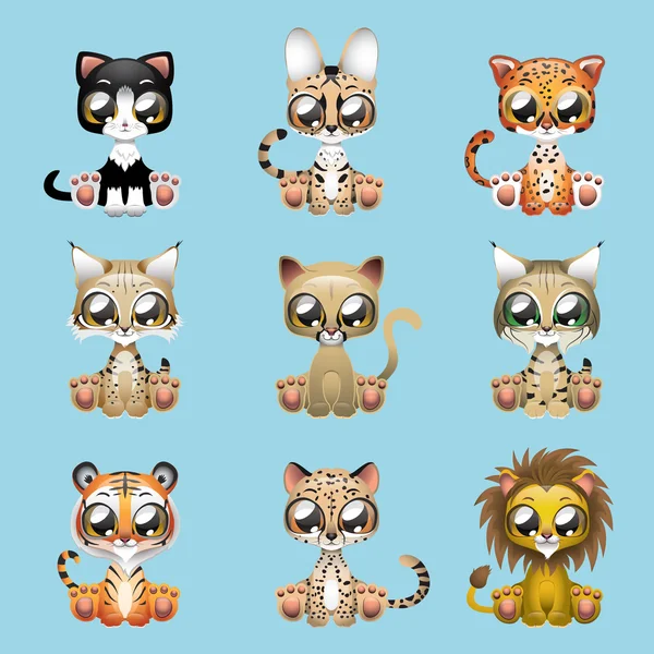 Collection of cute felines — Stockový vektor