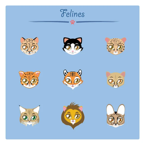 Коллекция животных Felines — стоковый вектор