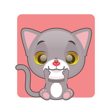 Şirin Gri kedi bir uğur böceği seyir