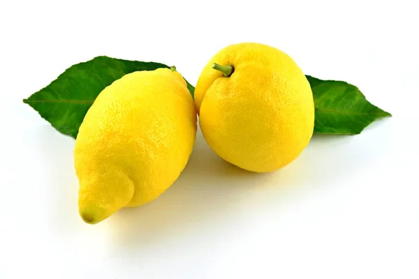 Två Gula Citroner Med Gröna Blad Vit Bakgrund Färsk Citrus — Stockfoto