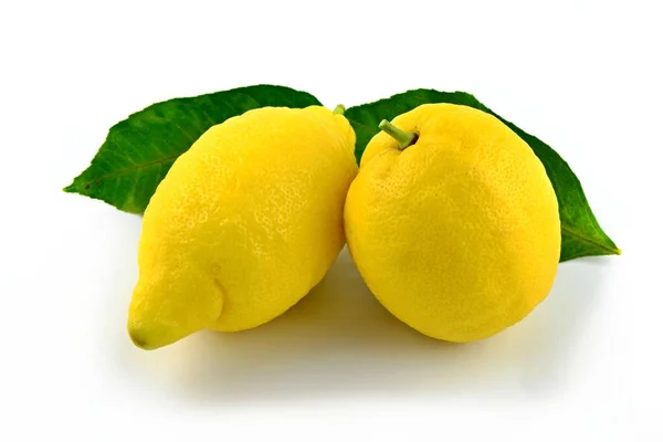 Due Limoni Gialli Con Foglie Verdi Fondo Bianco Agrumi Freschi — Foto Stock