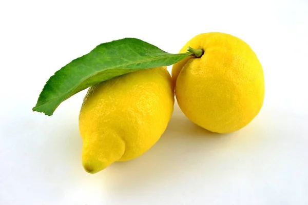 Beyaz Arka Planda Yeşil Yapraklı Iki Sarı Limon Taze Narenciye — Stok fotoğraf