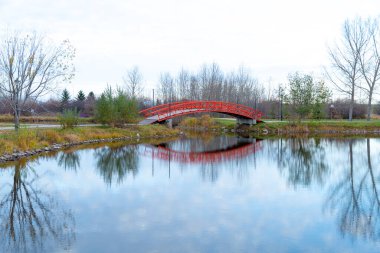 Parktaki nehrin üzerindeki köprü.