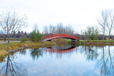 Parktaki nehrin üzerindeki köprü.